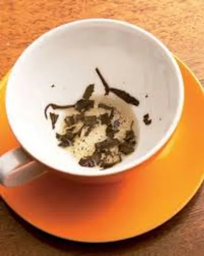 Illustration dregs - Image 2