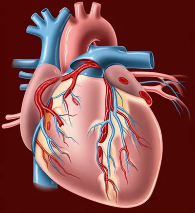 Illustration collateral - Image 1