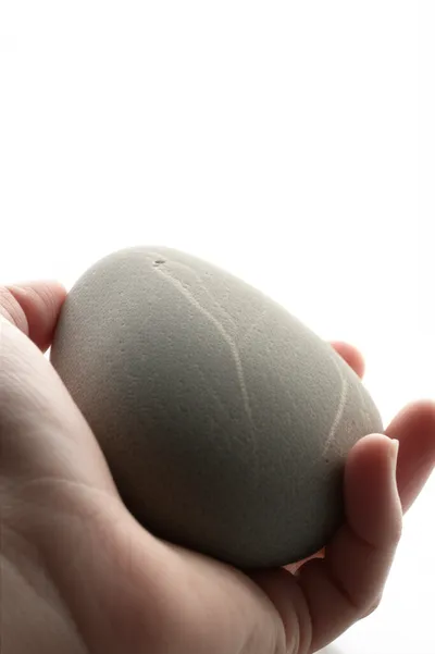 Illustration frigging - Image 1