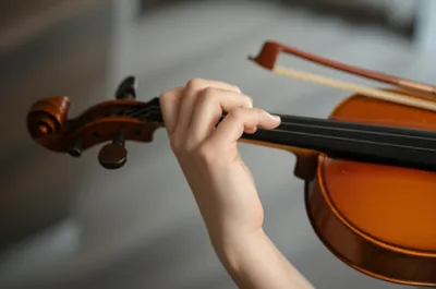 Illustration pizzicato - Image 1