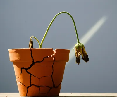 Illustration enervated - Image 1