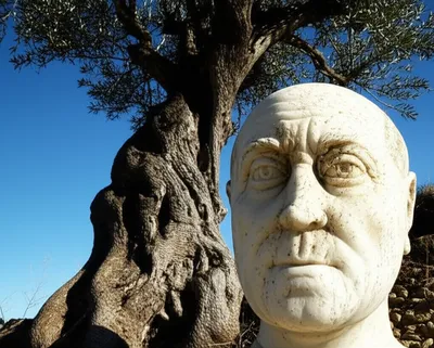 Illustration stoic - Image 1