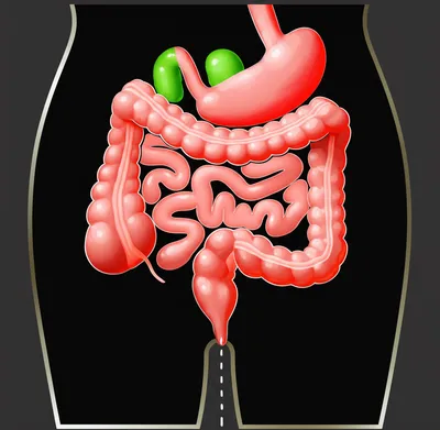 Illustration shit - Image 1