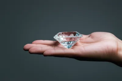 Illustration genuine - Image 1