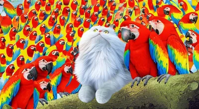 Illustration mate - Image 1