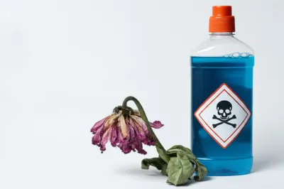 Illustration burned - Image 1