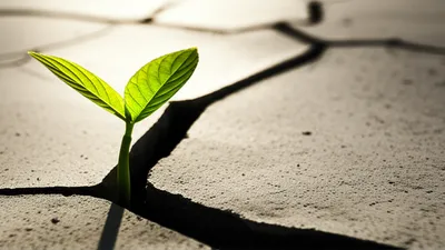 Illustration persistence - Image 1