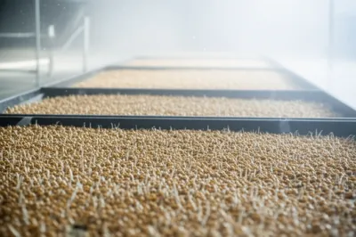 Illustration malting - Image 1