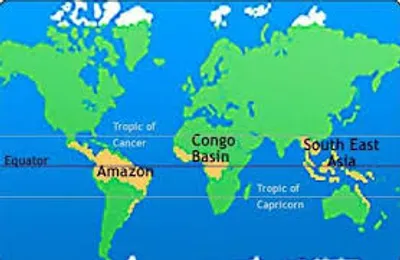 Illustration equatorial - Image 2