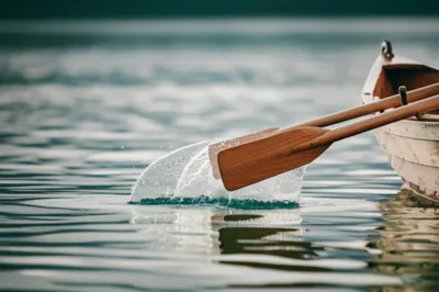 Illustration feathers - Image 1