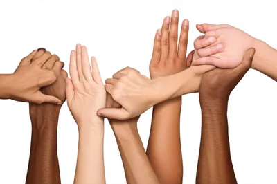 Illustration equality - Image 1