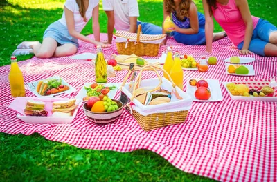 Illustration picnics - Image 1