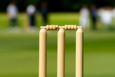 Illustration bails - Image 1