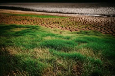 Illustration ebbs - Image 1