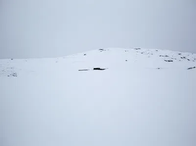 Illustration blanketing - Image 1