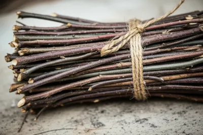 Illustration scopes - Image 1