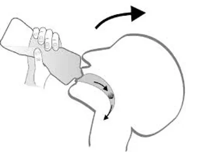 Illustration swallow - Image 2