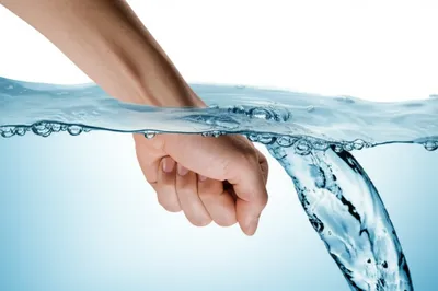 Illustration stem - Image 1