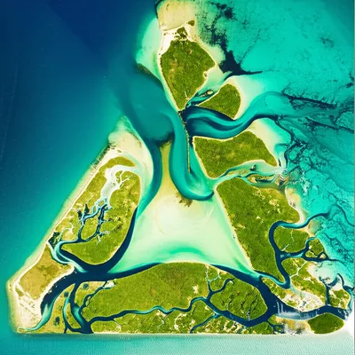 Illustration delta - Image 1