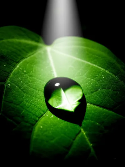 Illustration concentre - Image 1