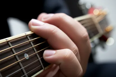 Illustration cords - Image 1