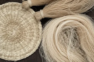 Illustration basses - Image 1