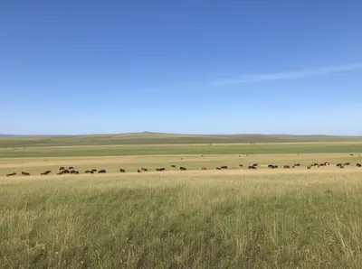 Illustration ranges - Image 1