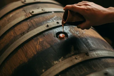 Illustration bungs - Image 1