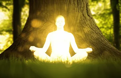 Illustration meditated - Image 1