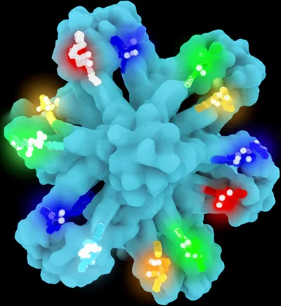 Illustration valences - Image 1