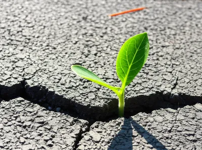 Illustration resurfacing