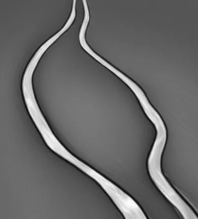 Illustration forked - Image 1