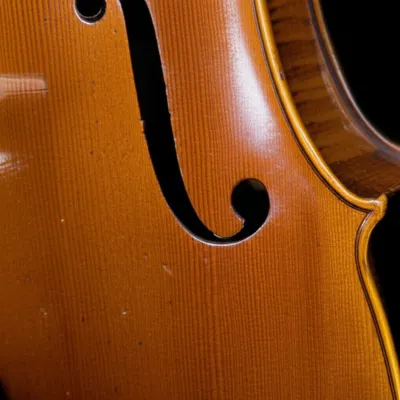 Illustration button - Image 1