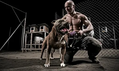 Illustration dogman - Image 1