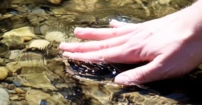 Illustration tampers - Image 1