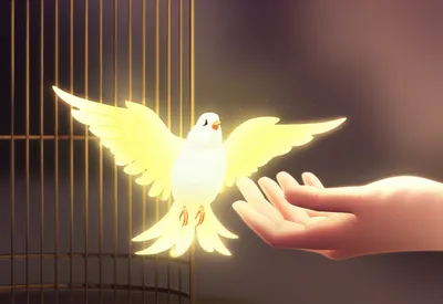 Illustration reacquired