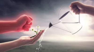 Illustration sheathe - Image 1