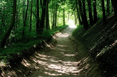 Illustration pursuing - Image 1