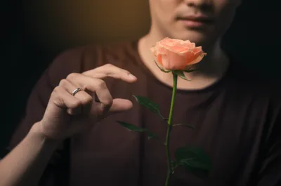 Illustration snap - Image 1