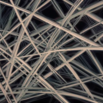 Illustration foul - Image 1