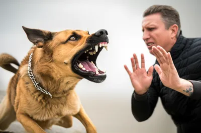 Illustration slates - Image 1