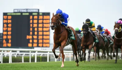 Illustration firm - Image 1