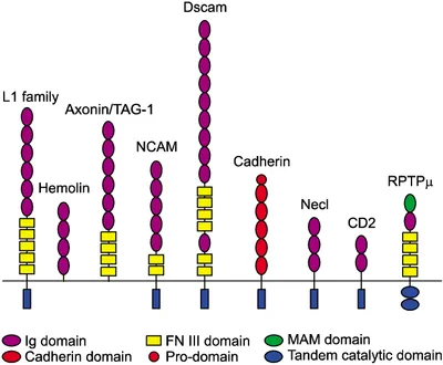 Illustration domain - Image 2