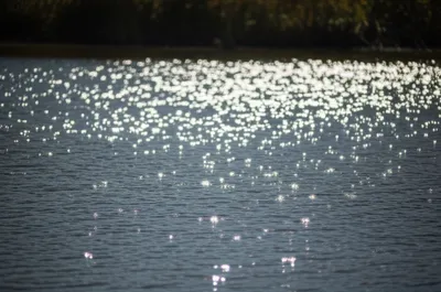 Illustration glinting - Image 1