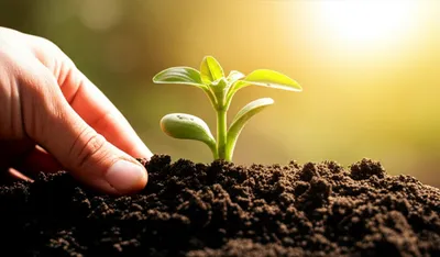 Illustration getting - Image 1