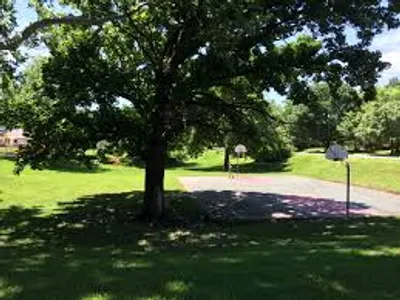 Illustration shady - Image 2