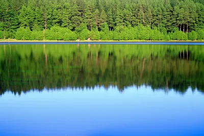 Illustration reflects - Image 1