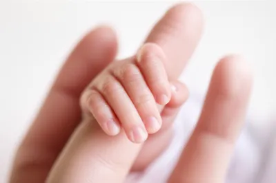 Illustration connate - Image 1