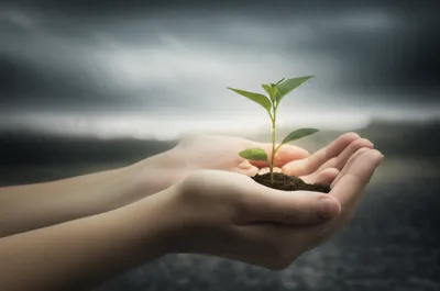 Illustration caring - Image 1