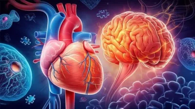 Illustration choline